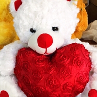 Rose Teddy Bear with Heart